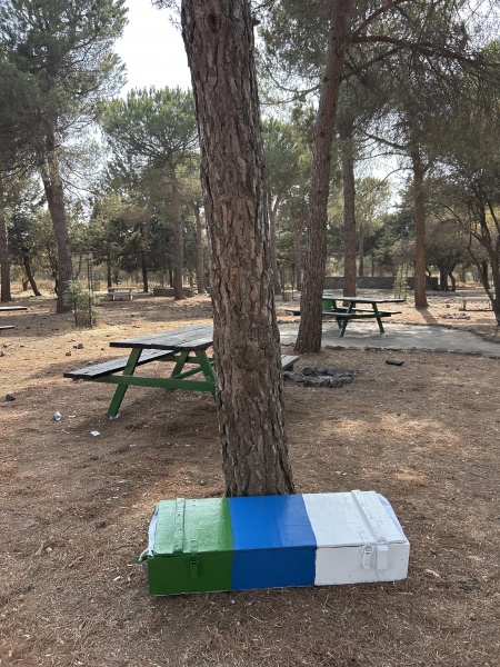 קובץ:2025-08-12T16 28 26.509947195458.jpg