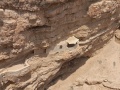 תמונה ממוזערת לגרסה מתאריך 15:18, 12 באוגוסט 2025