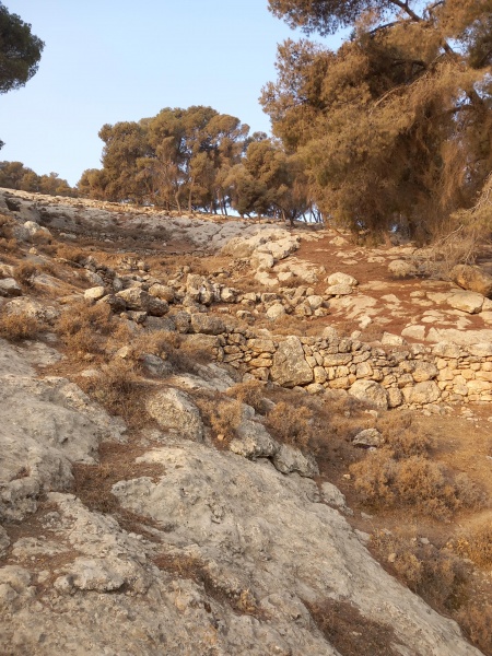 קובץ:2025-08-13T06 56 49.839600780655.jpg