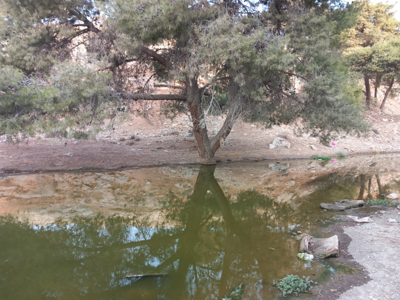 קובץ:2025-08-13T07 04 05.528333910351.jpg