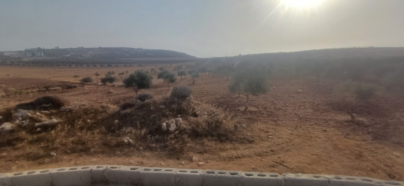 קובץ:2025-08-13T07 36 12.895313696264.jpg