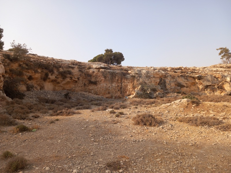 קובץ:2025-08-13T07 55 25.252092652951.jpg