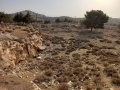 תמונה ממוזערת לגרסה מתאריך 04:51, 13 באוגוסט 2025