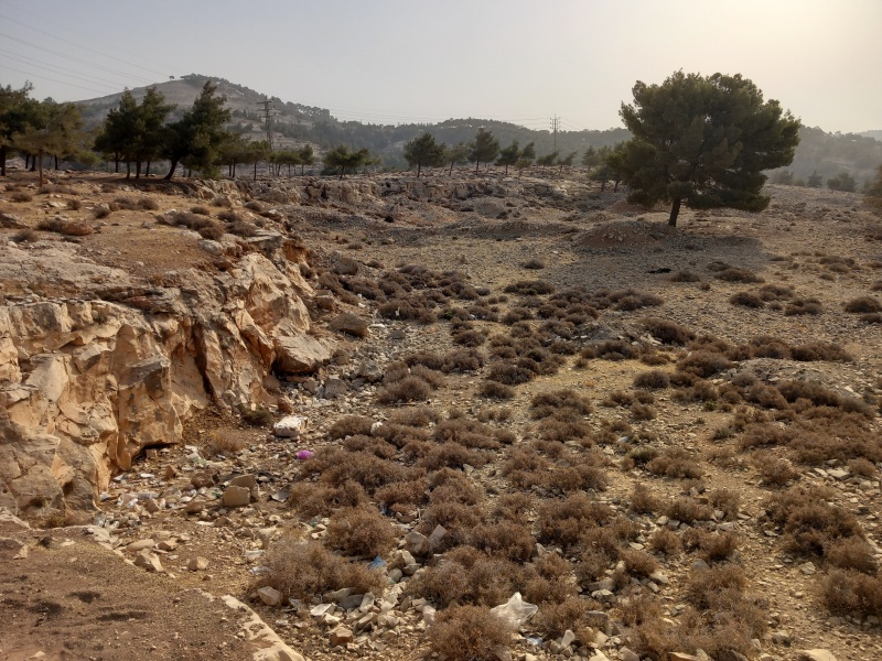 קובץ:2025-08-13T08 08 09.326785134971.jpg