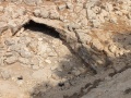 תמונה ממוזערת לגרסה מתאריך 07:18, 13 באוגוסט 2025