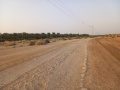 תמונה ממוזערת לגרסה מתאריך 04:53, 14 באוגוסט 2025