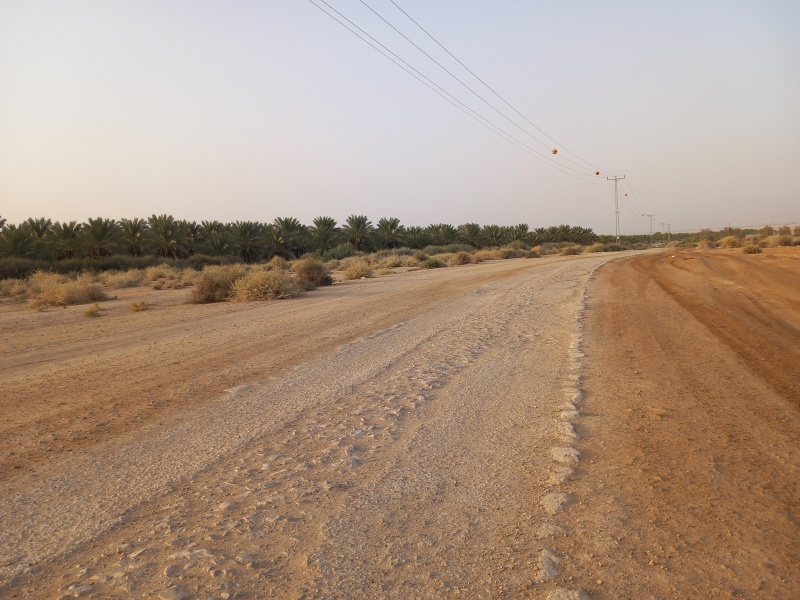 קובץ:2025-08-13T18 18 24.737892455894.jpg
