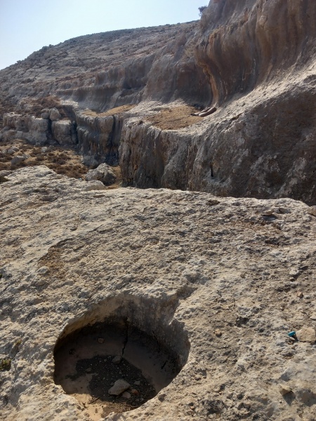 קובץ:2025-08-14T08 43 08.889381285503.jpg