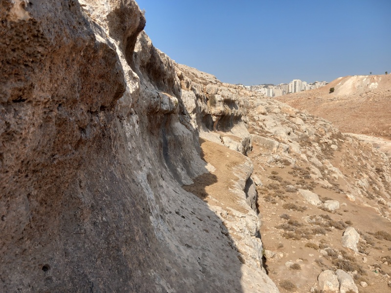 קובץ:2025-08-14T08 46 36.728857755246.jpg
