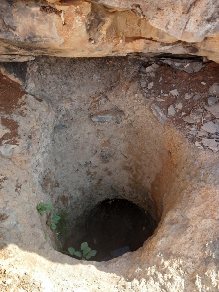 קובץ:2025-08-14T08 59 20.226121434472.jpg