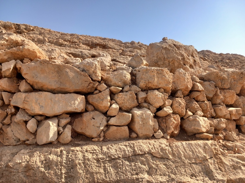 קובץ:2025-08-14T09 03 13.573563267785.jpg