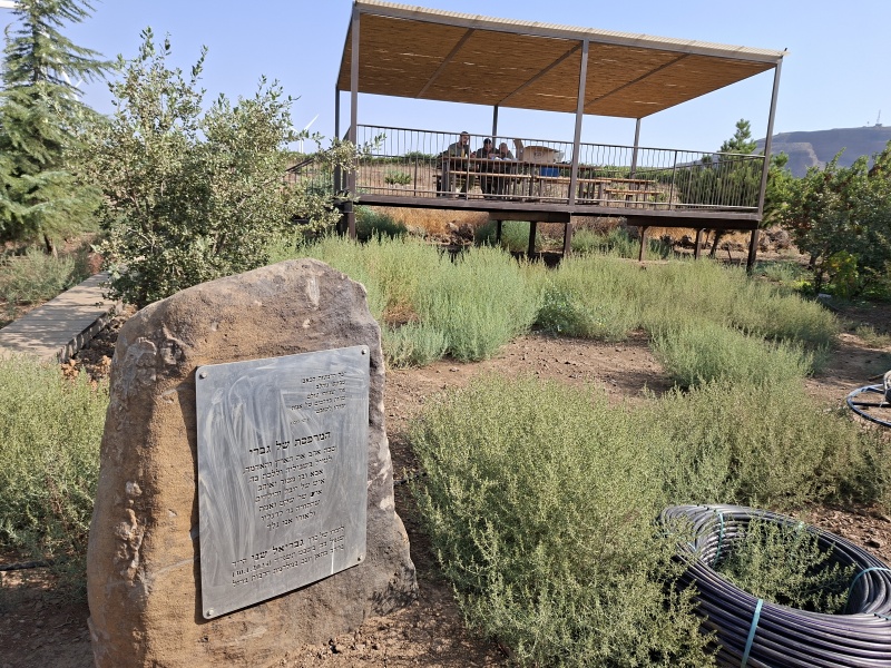 קובץ:2025-08-14T09 09 54.440171430237.jpg