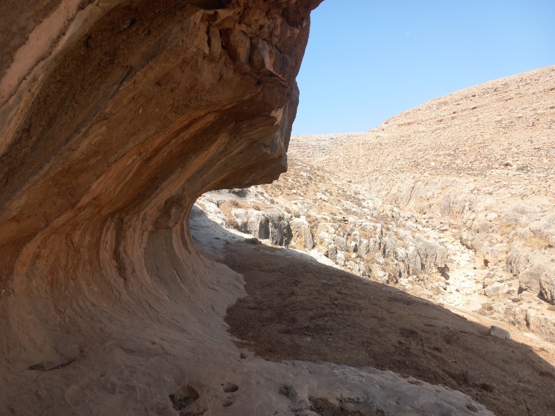 קובץ:2025-08-14T09 41 22.106852641880.jpg