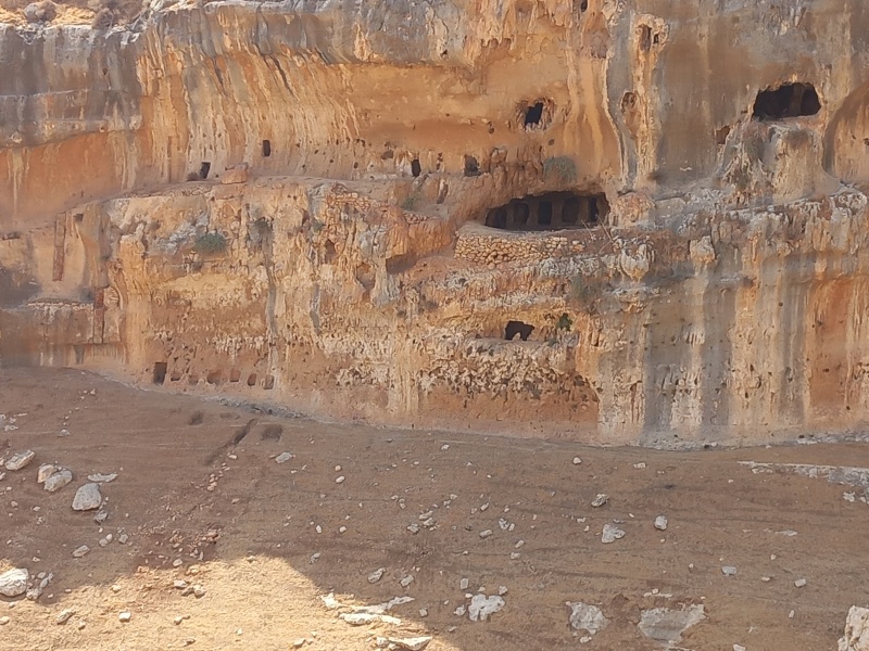 קובץ:2025-08-14T10 04 19.048032295369.jpg