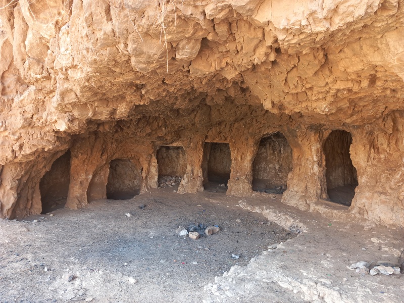 קובץ:2025-08-14T10 20 30.89465460325.jpg