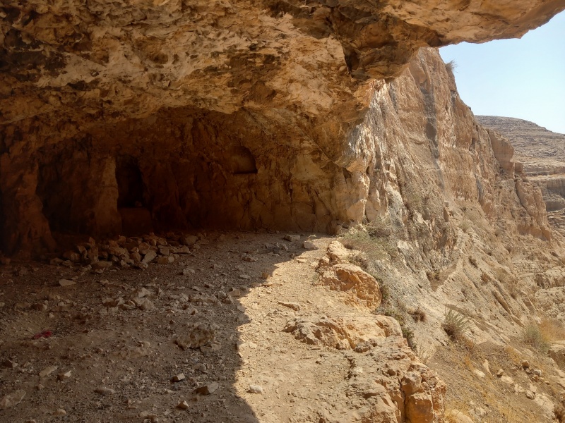 קובץ:2025-08-14T10 38 51.683870780591.jpg