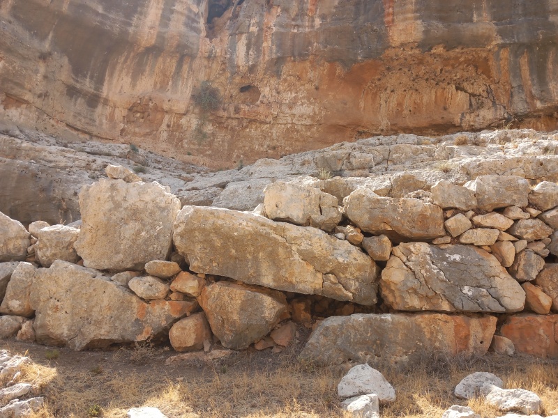 קובץ:2025-08-14T11 14 10.31958844060.jpg