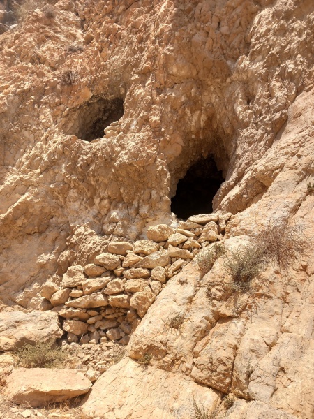 קובץ:2025-08-14T11 25 51.347072654513.jpg