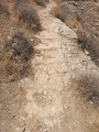 תמונה ממוזערת לגרסה מתאריך 13:12, 14 באוגוסט 2025