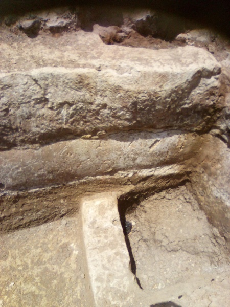 קובץ:2025-08-14T12 02 26.59814876181.jpg