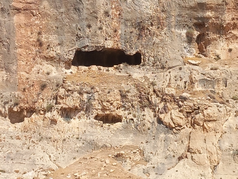 קובץ:2025-08-14T13 57 14.201061695003.jpg