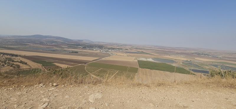 קובץ:2025-08-14T15 45 11.729040977273.jpg