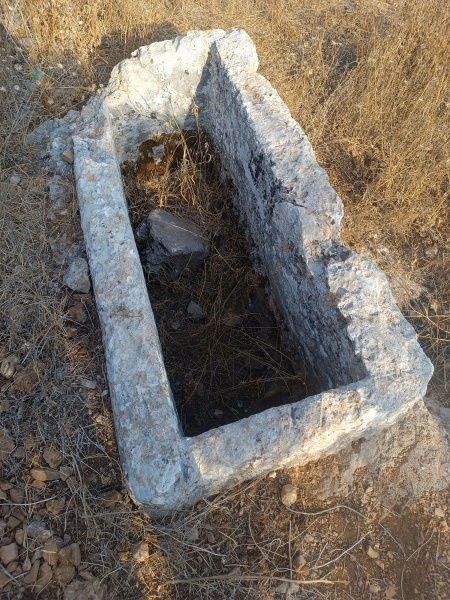 קובץ:2025-08-14T17 29 41.046637581157.jpg
