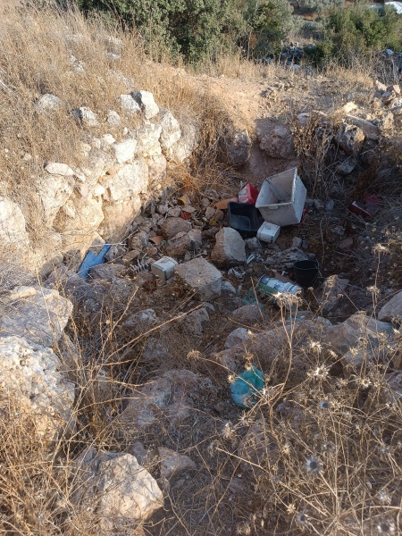 קובץ:2025-08-14T17 51 33.395616344287.jpg