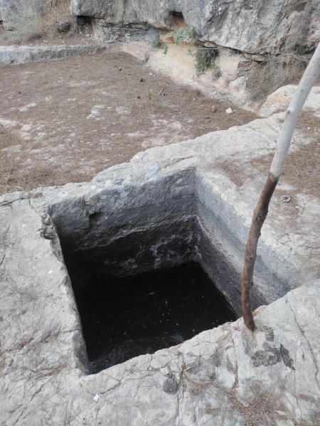 קובץ:2025-08-14T18 32 41.126890329457.jpg