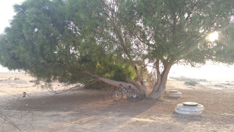 קובץ:2025-08-15T07 05 14.154272172705.jpg