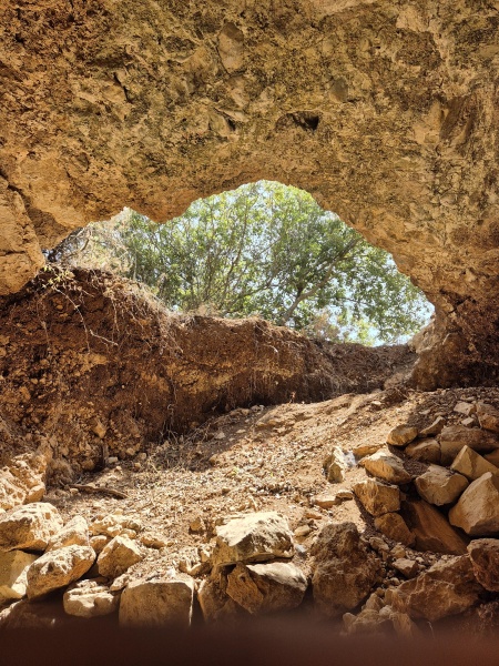 קובץ:2025-08-15T11 10 28.126031895637.jpg