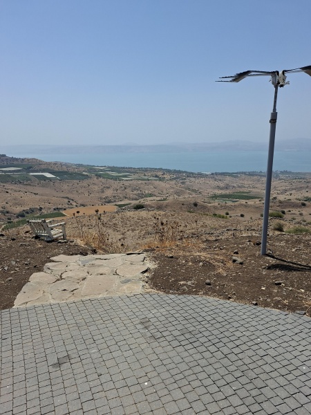 קובץ:2025-08-15T13 09 43.799806729142.jpg