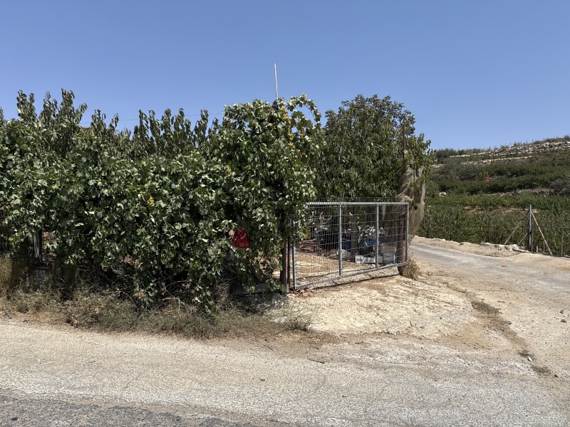 קובץ:2025-08-15T13 24 39.593702407479.jpg