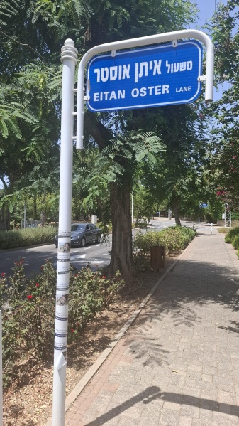 קובץ:2025-08-15T13 27 59.821805188547.jpg