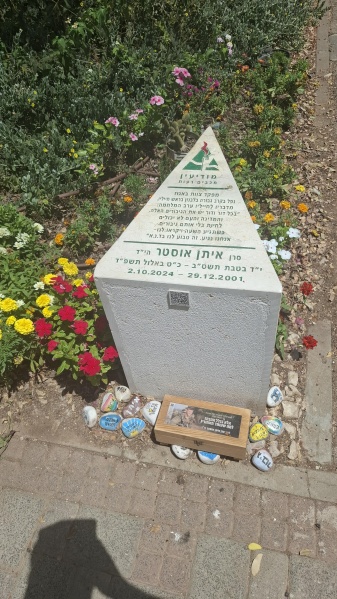 קובץ:2025-08-15T13 28 21.246913843490.jpg