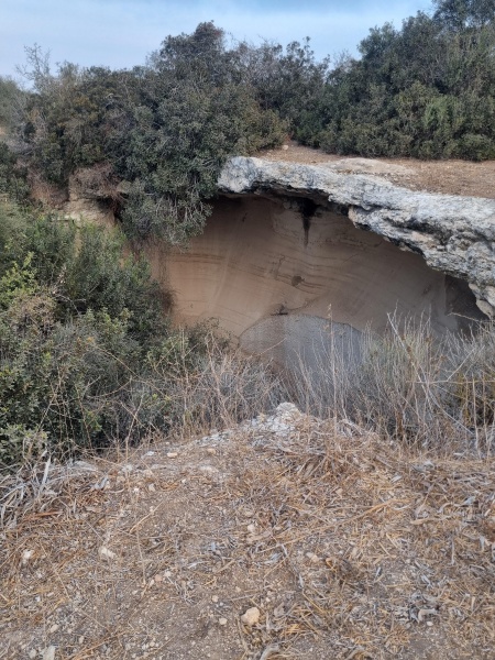 קובץ:2025-08-16T06 51 46.487764157901.jpg