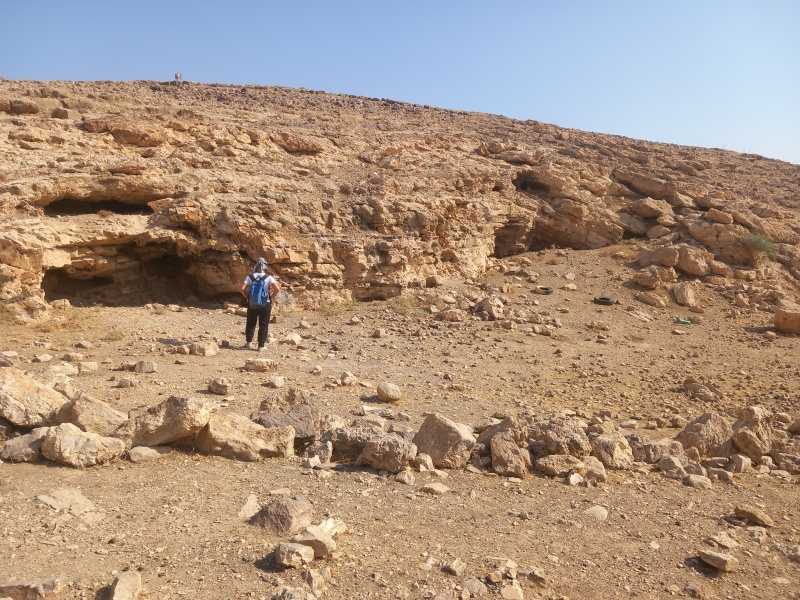 קובץ:2025-08-16T09 02 53.857335747228.jpg