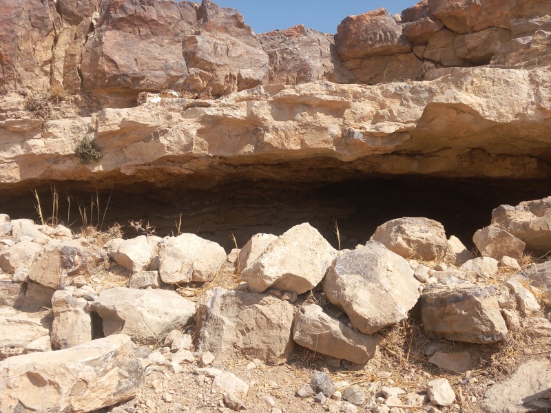 קובץ:2025-08-16T10 32 17.774306445985.jpg