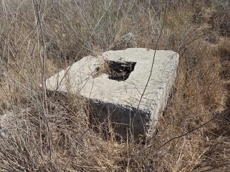 קובץ:2025-08-16T15 37 34.7810702381.jpg