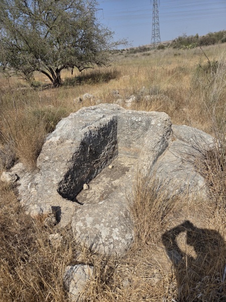 קובץ:2025-08-16T15 55 50.836258432764.jpg