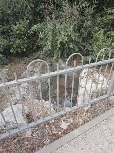קובץ:2025-08-17T08 56 03.481624767505.jpg