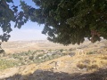 תמונה ממוזערת לגרסה מתאריך 12:50, 17 באוגוסט 2025