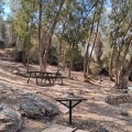 תמונה ממוזערת לגרסה מתאריך 06:53, 18 באוגוסט 2025