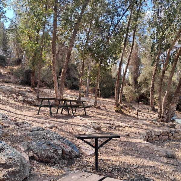 קובץ:2025-08-18T10 14 16.861223910748.jpg