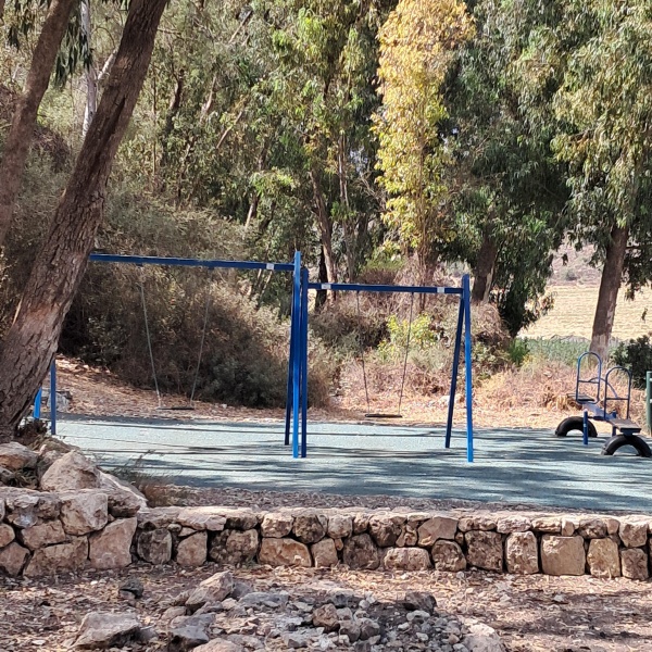 קובץ:2025-08-18T10 14 23.825642270175.jpg