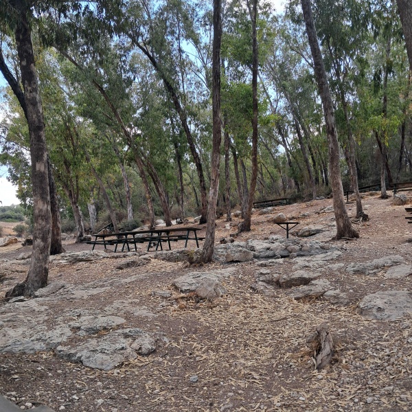 קובץ:2025-08-18T10 18 23.176472607443.jpg