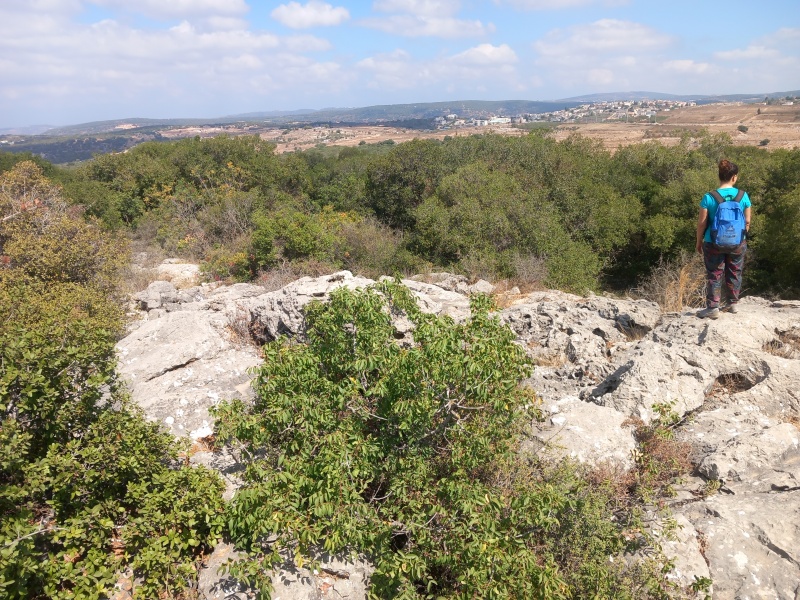 קובץ:2025-08-18T10 21 14.492305730828.jpg