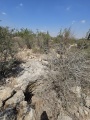 תמונה ממוזערת לגרסה מתאריך 09:00, 18 באוגוסט 2025