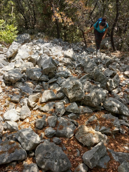 קובץ:2025-08-18T12 31 48.942701660896.jpg