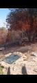 תמונה ממוזערת לגרסה מתאריך 11:56, 18 באוגוסט 2025